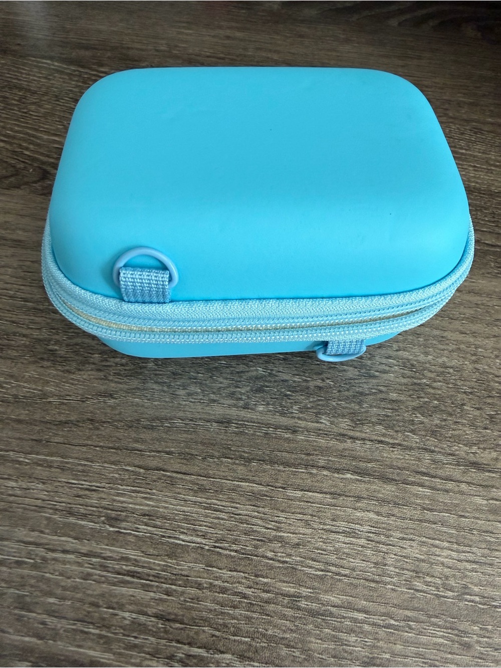 Blue Travel Accessory Case - Compact Zip Pouch